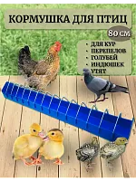 Кормушка для кур и птиц лотковая 80 см