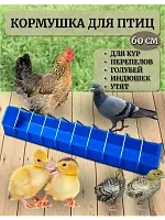 Кормушка для кур и птиц лотковая 60 см